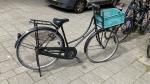 オランダの自転車に関する画像です。