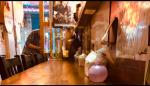 小さなご飯屋さん　“名古屋台所“に関する画像です。