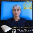 枕 ブルーブラッド3D体感ピロー（テンセル枕カバー装着済み） BlueBloodに関する画像です。