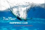 日本人運営の巡回型スイミングクラブ　　【For First Swimming Club】に関する画像です。