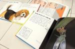【美品】なぜなにブック22冊セット(日本学校図書株式会社)に関する画像です。