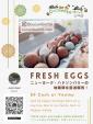 ニューヨーク・ハドソンバリーの地鶏卵を直送販売！に関する画像です。