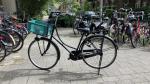 オランダの自転車に関する画像です。
