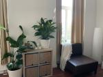 【短期12/19-1/5】家具付 1人部屋 WiFi・光熱費込み 600€ フリードリヒスハインに関する画像です。