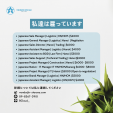 Recruiting Japanese Sales (Junior/Manager) - $5000に関する画像です。
