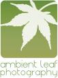 出張写真撮影サービス「ambient leaf photography 」