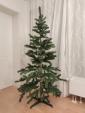 Ikeaクリスマスツリー　170cm