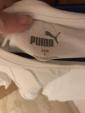 Puma t shirtに関する画像です。