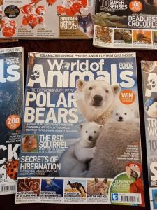 香港 売ります 英語の動物系雑誌 フリマなら香港掲示板