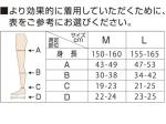 Qtto キュット 寝ながら美脚ケア Mサイズ ロング(太もも付け根まで)に関する画像です。