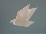 【緊急】6月7日のみ、簡単な折り紙製作に関する画像です。