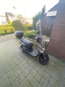 アムステルダム 売ります ヘルメット付き収納ボックス付きスクーター売ります フリマならアムステルダム掲示板