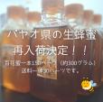 パヤオ県の生蜂蜜（百花蜜）再入荷です！