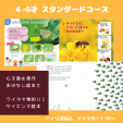 日本語が好きになる年齢別絵本！毎月2冊送料込14€～に関する画像です。