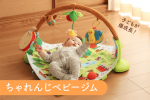 こどもちゃれんじbaby 特別号のジム