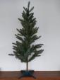 IKEAクリスマスツリーに関する画像です。