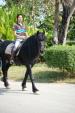 バンコクで乗馬に関する画像です。