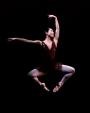 バレエを習いたいと言う夢、叶えましょう！　オペラファン必見に関する画像です。