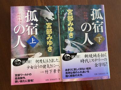 オランダ・売ります】ホラー小説、時代ミステリー小説を売ります