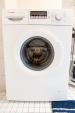 【売ります】Bosch 洗濯機に関する画像です。