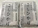 玄米 プレミアムこしひかり 5kg(2.5kg×2) H28産