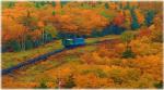 ニューイングランドの絶景を楽しもう♪紅葉狩りツアーに関する画像です。