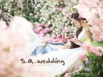 ☆韓国ウェディングフォト S.A. Wedding☆に関する画像です。