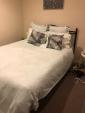 Queen size bed & mattress $50