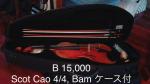SCOTT CAO バイオリン 4/4、BAMのケース付に関する画像です。
