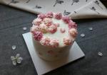 4月限定！♥桜ケーキのレッスン♥ミニホールケーキお持ち帰り♪に関する画像です。
