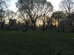 無料ズンバクラス in Central Parkに関する画像です。