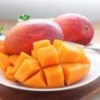 台湾のマンゴーをご家族、ご友人、お世話になった方に贈りませんか？