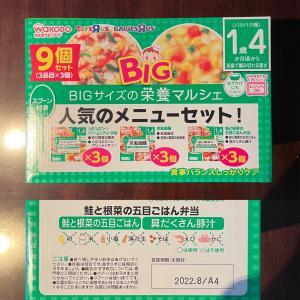 タイ 売ります 離乳食お弁当 Big栄養マルシェ 1歳4ヶ月 15個 フリマならタイ掲示板