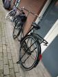 オランダ　自転車に関する画像です。