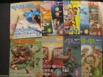 進研ゼミ「はてな？はっけんブック小学３年生」10冊セット