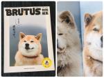 雑誌「BRUTUS 犬特集」に関する画像です。