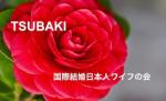 国際結婚日本人ワイフの会 - TSUBAKI -