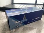 ANA フライイング　ホヌー　A380に関する画像です。