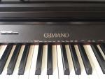 電子ピアノ Casio CELVIANO AP-250に関する画像です。