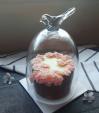 4月限定！♥桜ケーキのレッスン♥ミニホールケーキお持ち帰り♪に関する画像です。